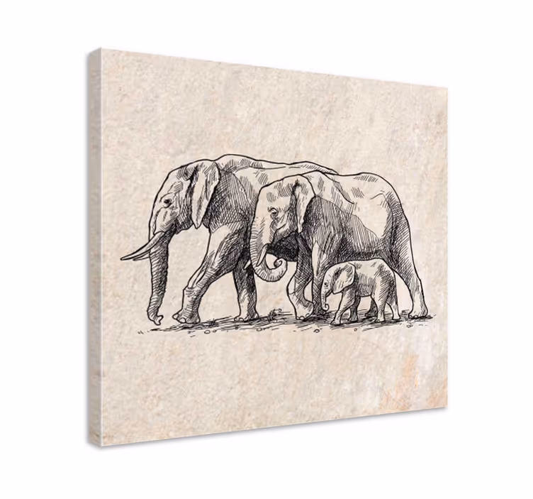 Elefant lærredsbillede skitse af elefanter - TenStickers