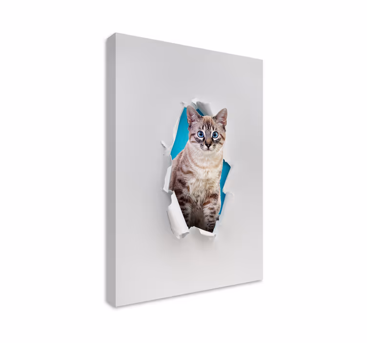Katte lærredsbillede af kat - TenStickers