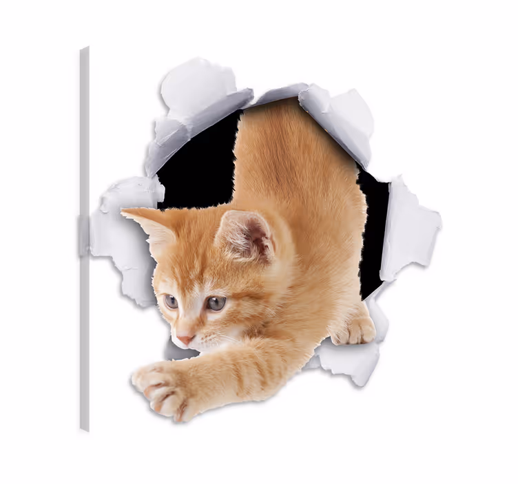 Katte lærredsbillede med dekorativt katte trompe l'oeil - TenStickers