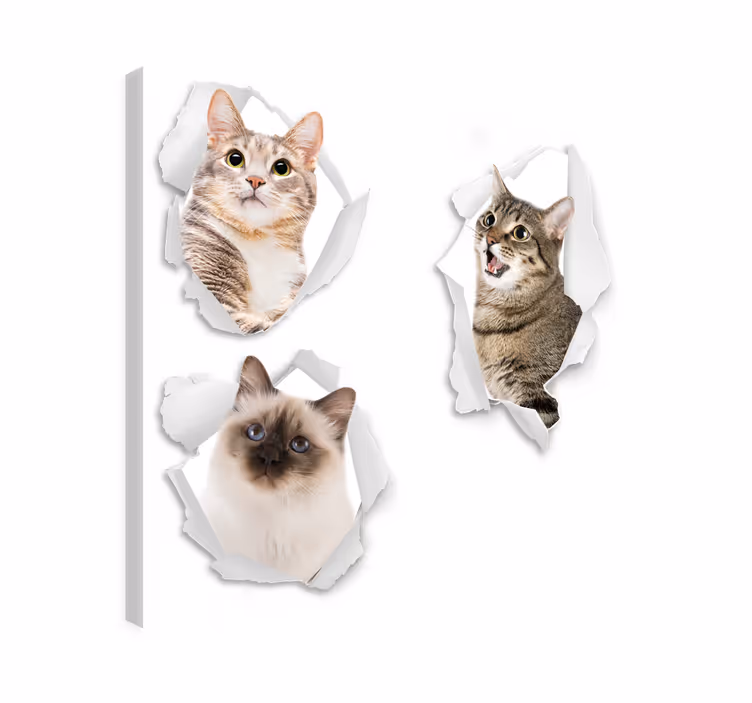 Katte lærredsbillede kattens trampantojo - TenStickers