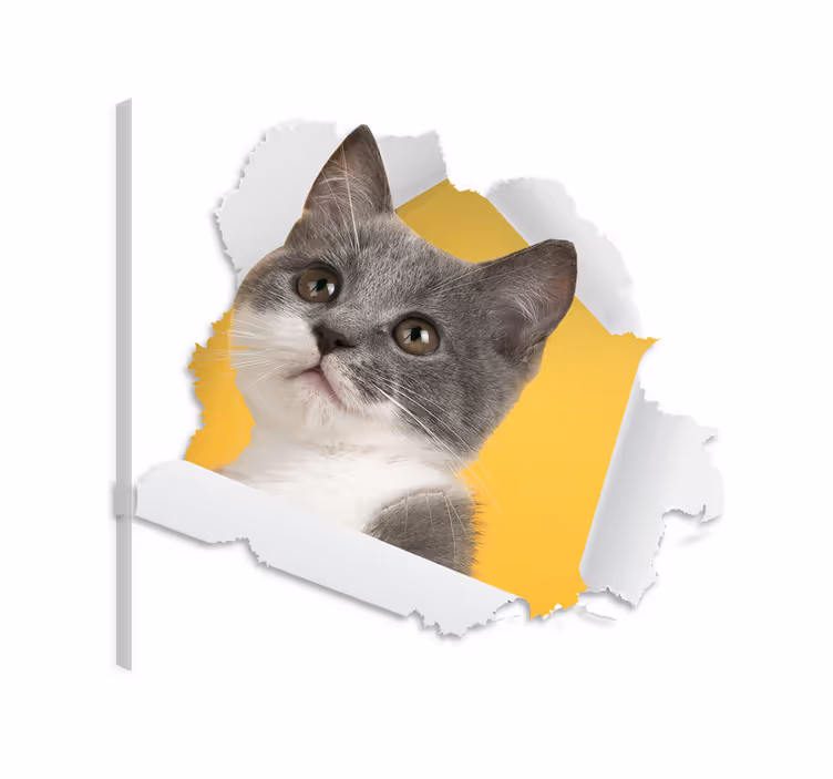 Katte lærredsbillede 3d katteklistermærke - TenStickers