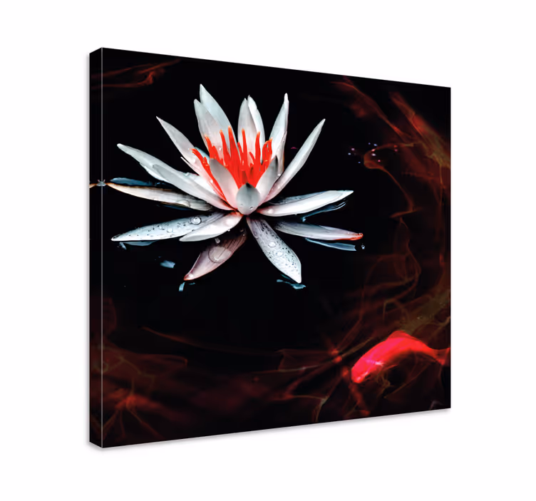 Blomster og planter lærredsbillede lotus på vandet - TenStickers