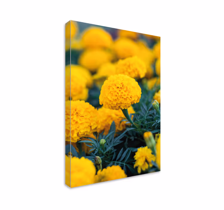 3d rama flores naranjas 3d lærredstryk - TenStickers