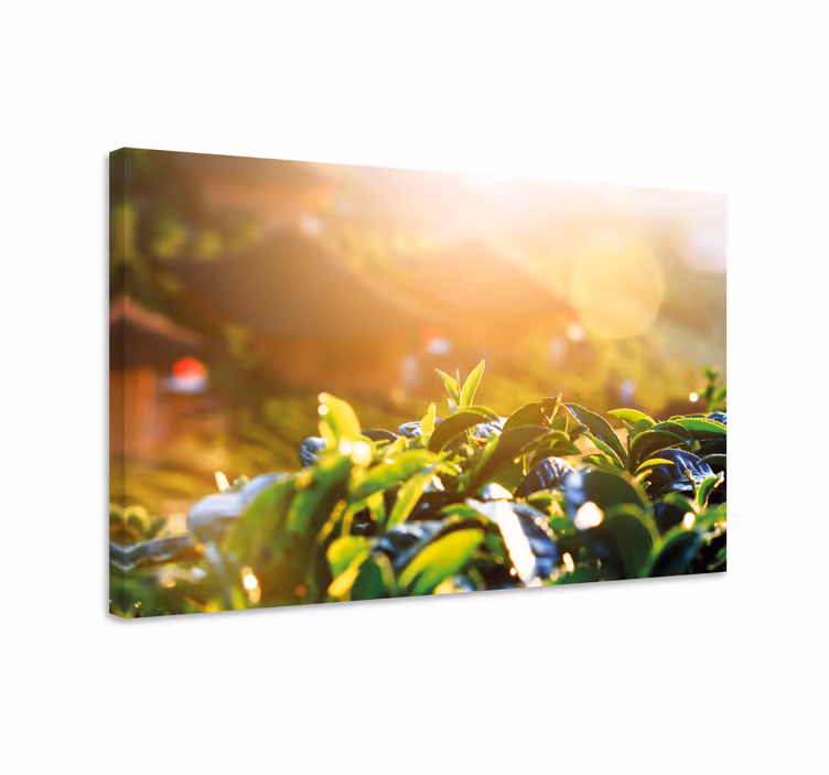 Blomster og planter lærredsbillede morgen te blade - TenStickers