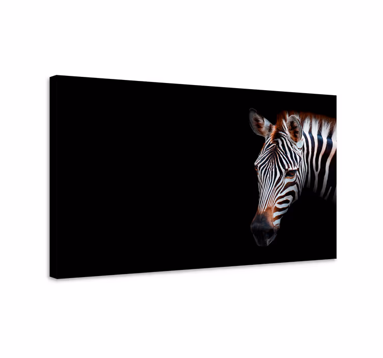Dyre billeder på lærred zebra nærbillede - TenStickers