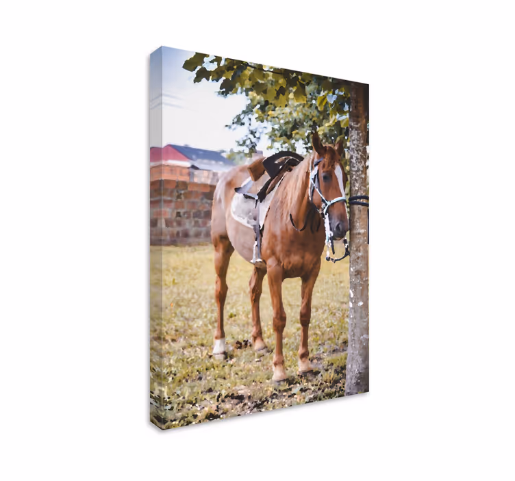 Heste lærredsbillede elegant brun hest - TenStickers