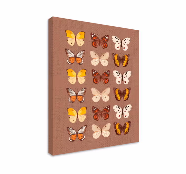 Sommerfugl lærredsbillede farverigt display - TenStickers