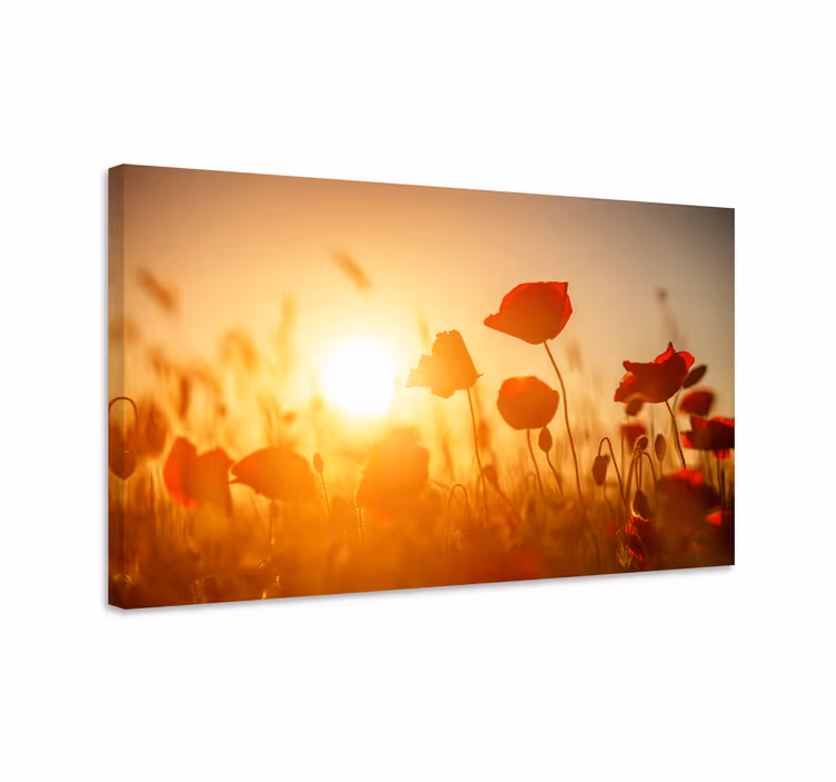 Blomster og planter lærredsbillede mohnmarkens glød - TenStickers