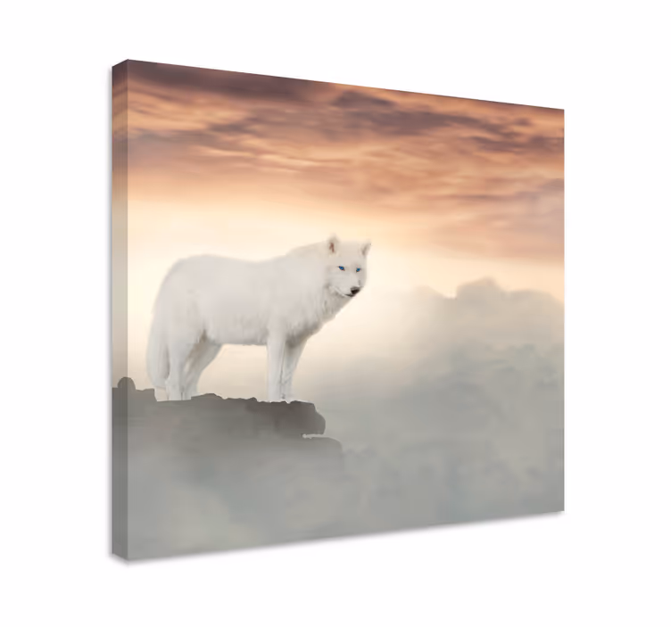 Hvid ulv på bjergdyr lærredstryk - TenStickers