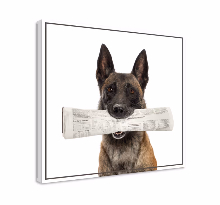 Hunde lærredsbillede hund med avis - TenStickers