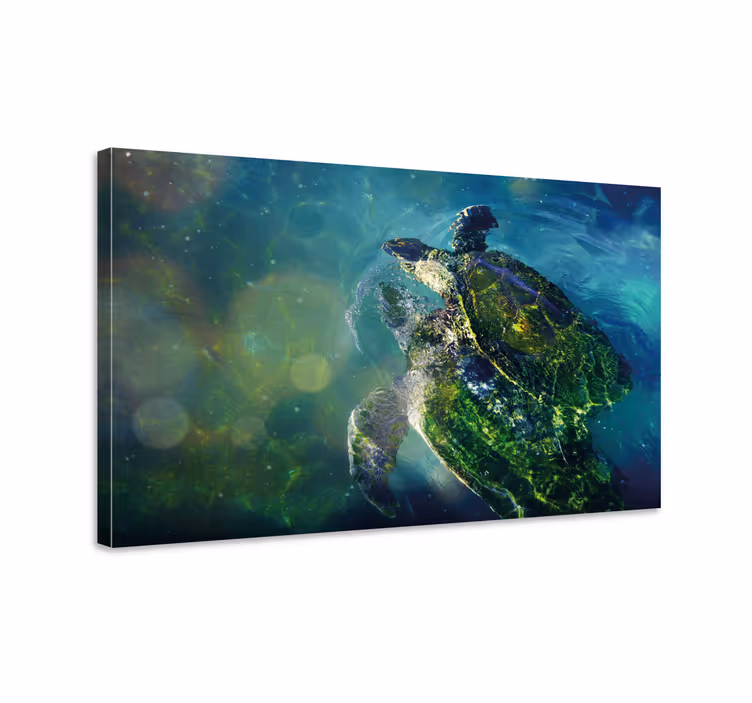 Marine lærredsbillede elegant havskildpadde - TenStickers