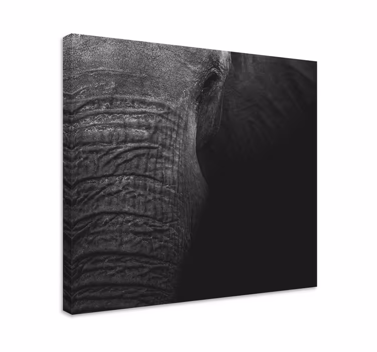 Elefant lærredsbillede majestætisk elefantportræt - TenStickers