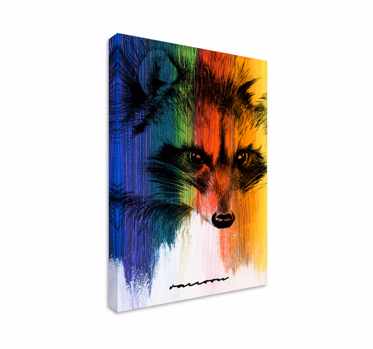Regnbue racoon dyr lærred udskrifter - TenStickers