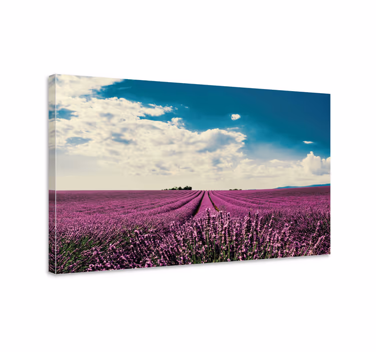 Lyng solskinsblomst lærred - TenStickers