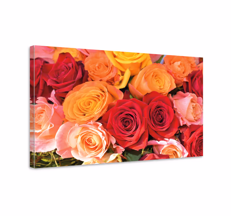 Orange røde og lyserøde roser blomster lærred - TenStickers