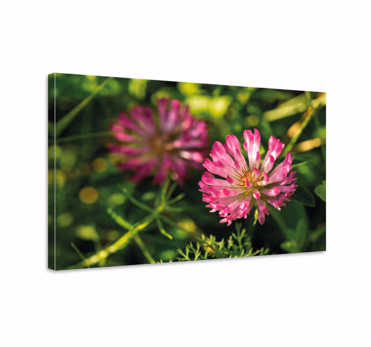 Blomster og planter lærredsbillede pink blomsterklynge - TenStickers