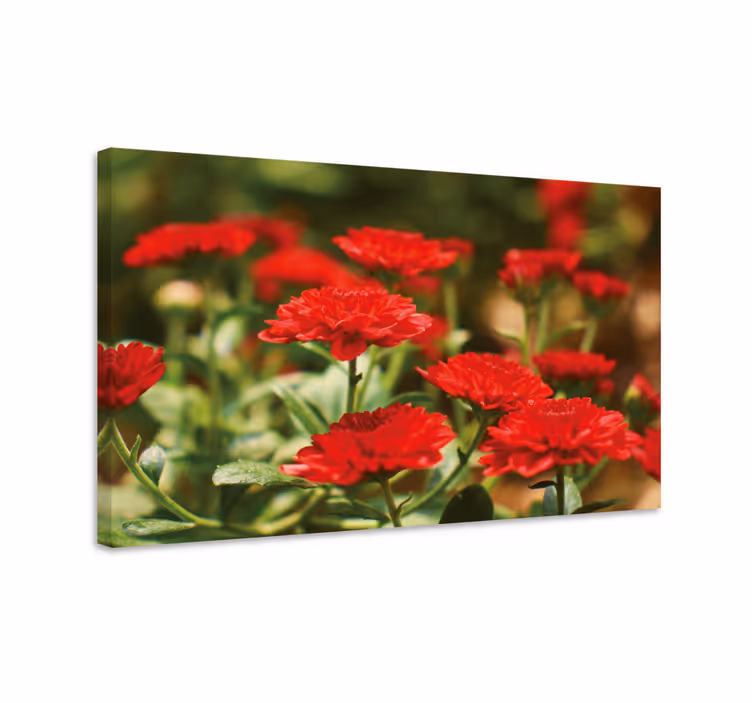 Røde blomster og planter lærredsbillede - TenStickers