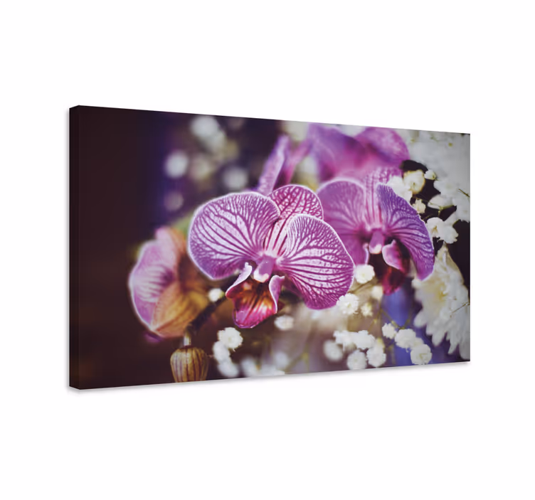 Blomster og planter lærredsbillede orkidéblomster detalje - TenStickers