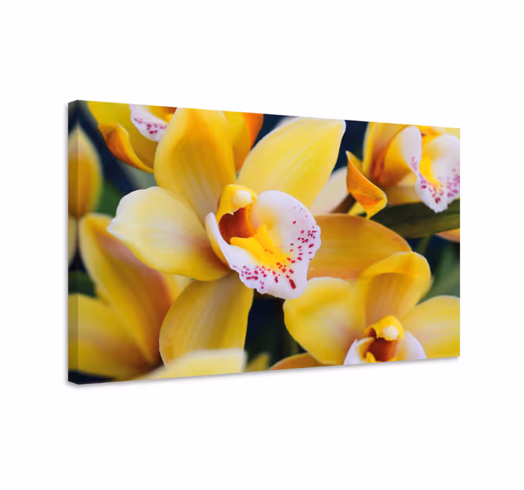 Blomster og planter lærredsbillede i livlige orkideer - TenStickers