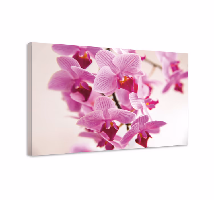 Blomster og planter lærredsbillede delikate orkidéblomster - TenStickers