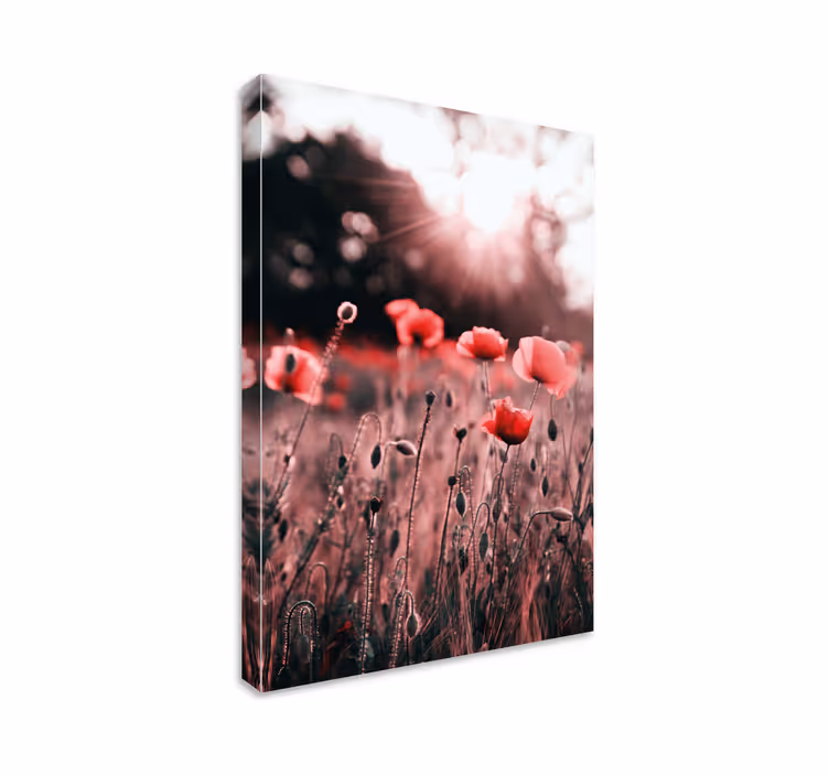 Blomster og planter lærredsbillede valmueengs glød - TenStickers