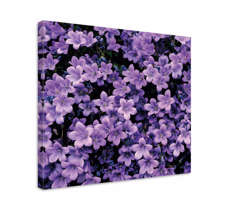 Vage lilla blomster lærred - TenStickers