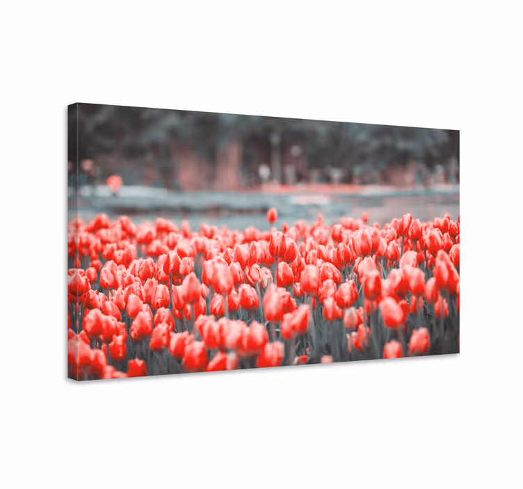 Blomster og planter lærredsbillede farverigt tulipanfelt - TenStickers