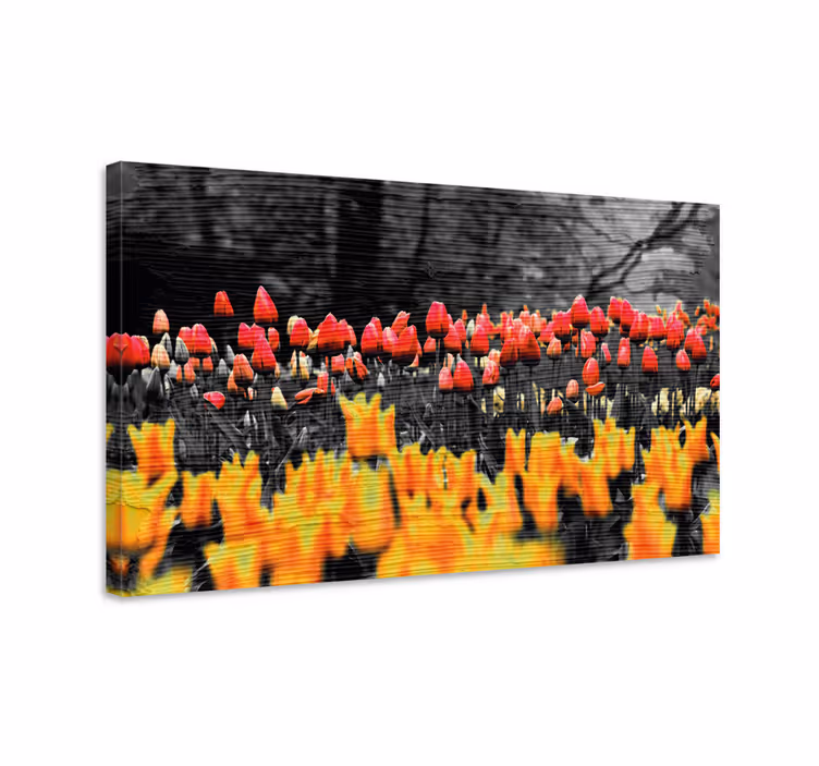 Blomster og planter lærredsbillede farverigt tulipanbed - TenStickers
