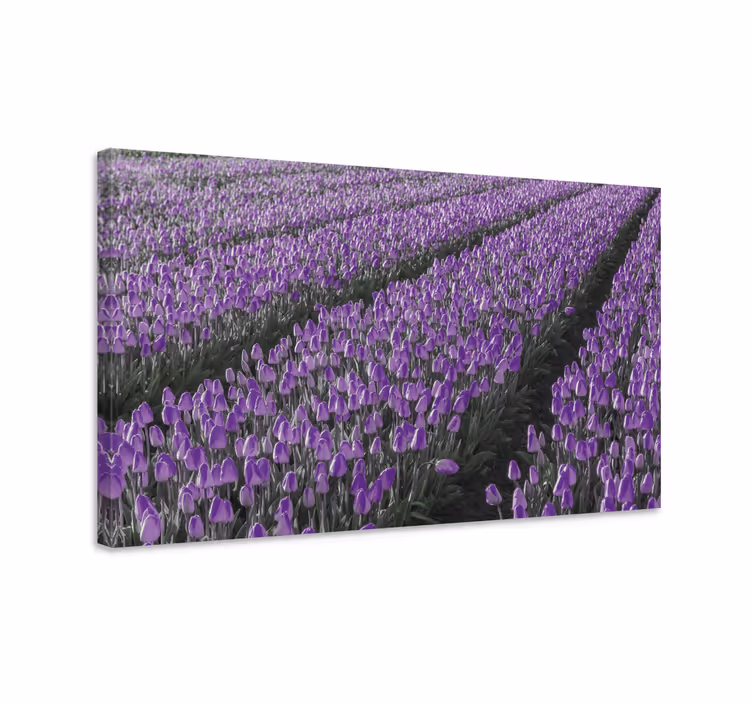 Blomster og planter lærredsbillede lilla tulipanmark - TenStickers