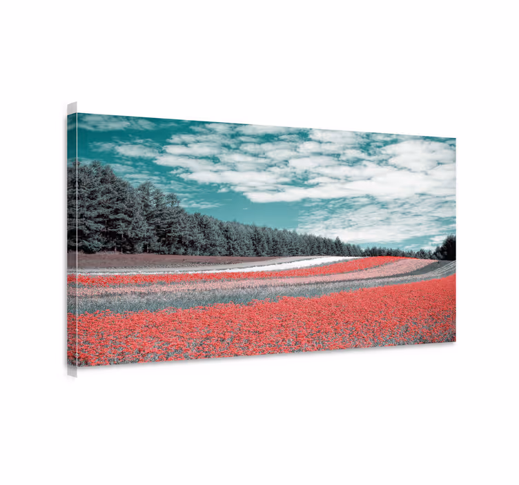 Landskab lærred med levende blomsterfelt - TenStickers