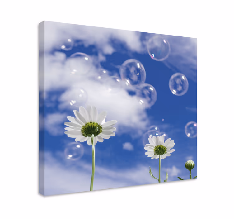 Tusindfryd og bobler blomster og planter lærredsbillede - TenStickers