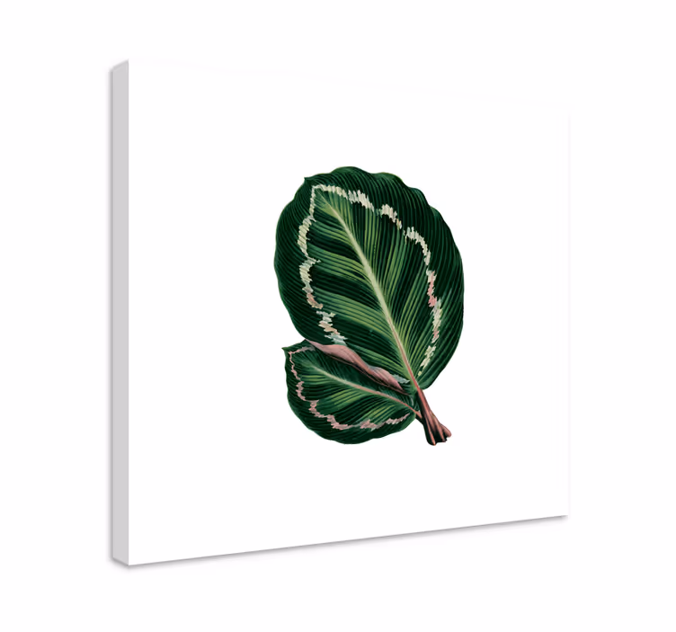 Blomster og planter lærredsbillede stort bladdesign - TenStickers