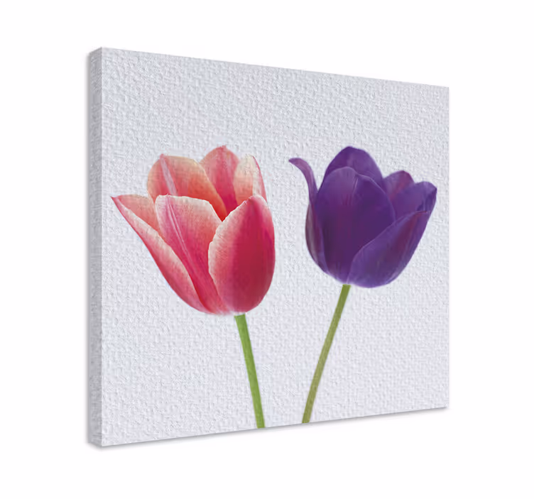Lilla og lyserøde tulipaner blomster lærred - TenStickers