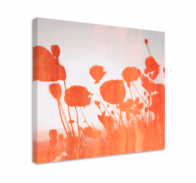 Blomster og planter lærredsbillede sarte blomstrende valmuer - TenStickers
