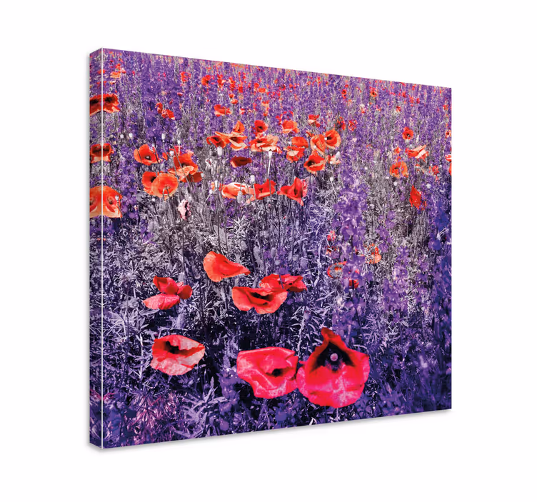 Blomster og planter lærredsbillede lysende valmuemark - TenStickers