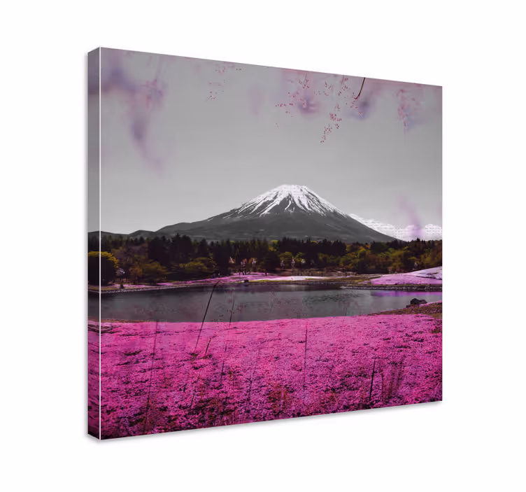 Lyserøde blomster felt i japan blomst lærred - TenStickers