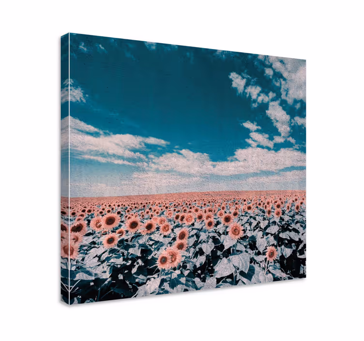 Solsikkemarkshorisont blomster og planter lærredsbillede - TenStickers
