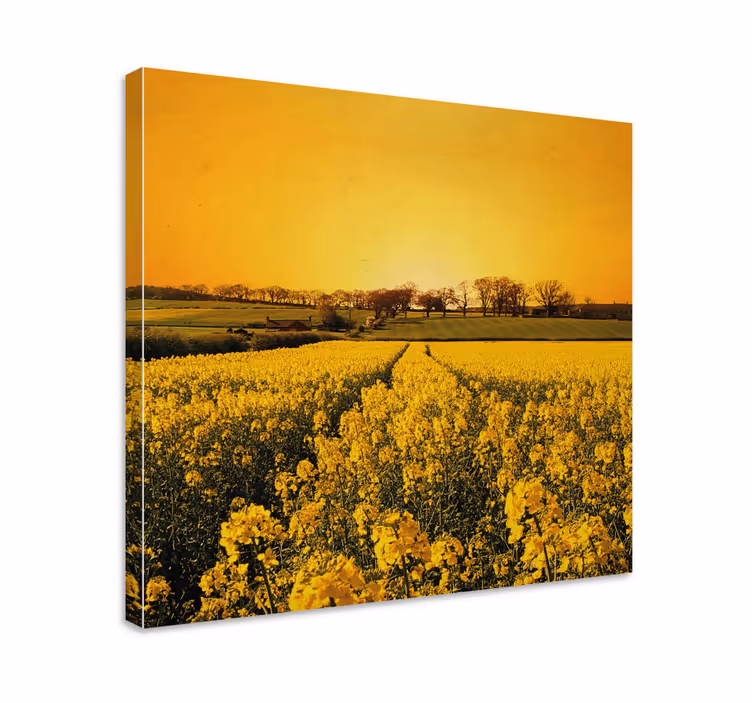 Gule blomster felt blomst lærred - TenStickers