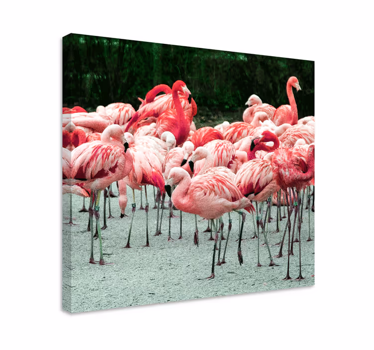 Fugl lærredsbillede flamingoflok - TenStickers