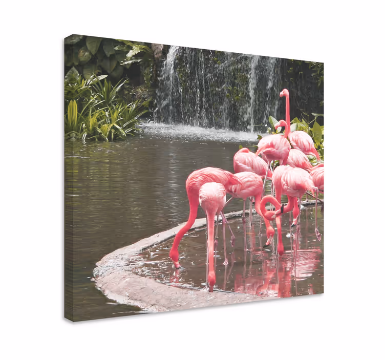Fugl lærredsbillede flamingo flok pool - TenStickers