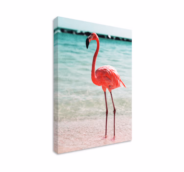 Fugl lærredsbillede elegant flamingo stilling - TenStickers