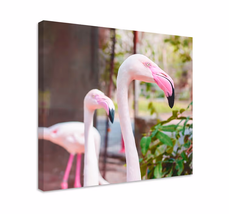 Fugl lærredsbillede elegante flamingoer sammen - TenStickers