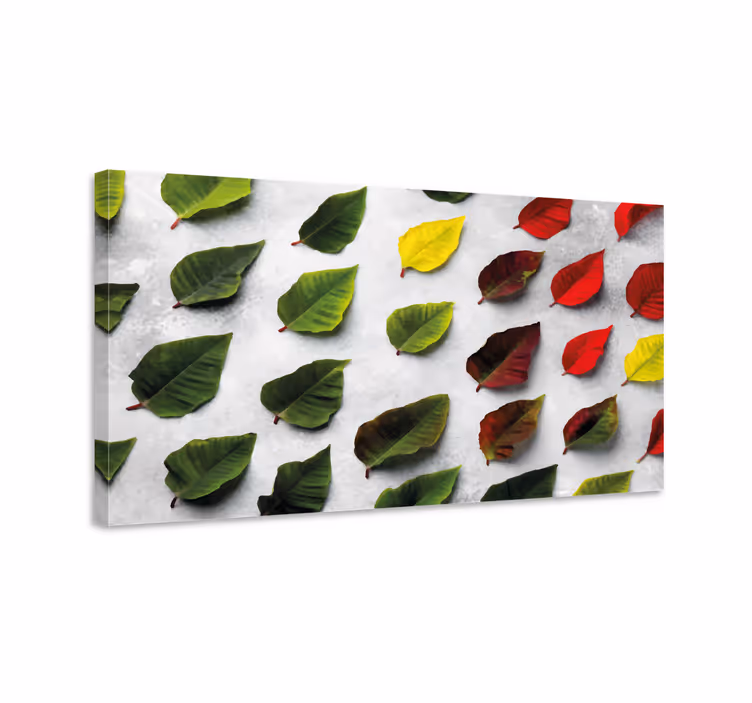 Mangfoldig bladsamling blomster og planter lærredsbillede - TenStickers