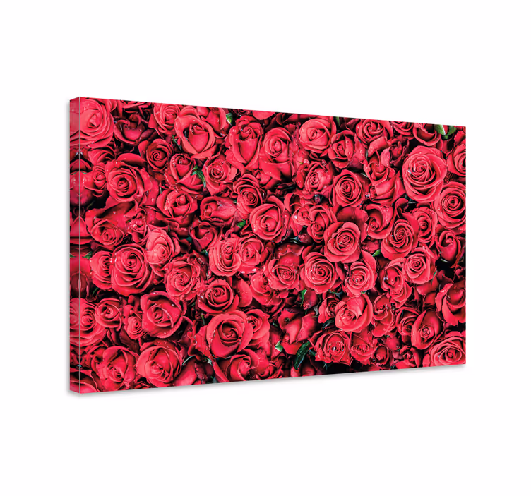 Rose petal arrangement blomster og planter lærredsbillede - TenStickers