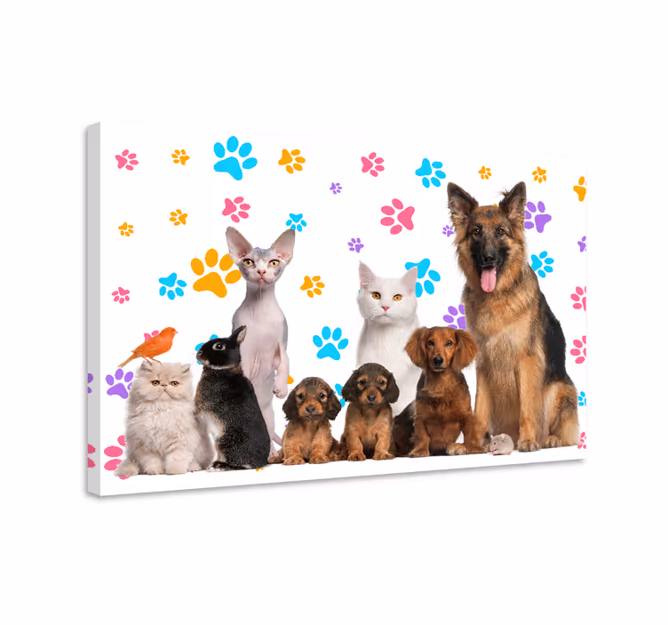 Hunde og katte dyrelærredsprint - TenStickers