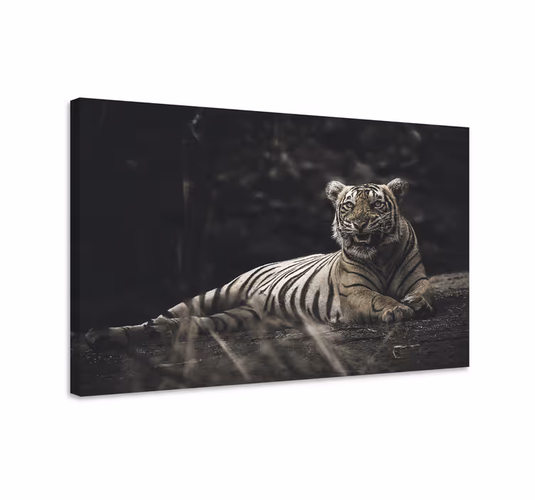 Tiger liggende dyrelærred - TenStickers