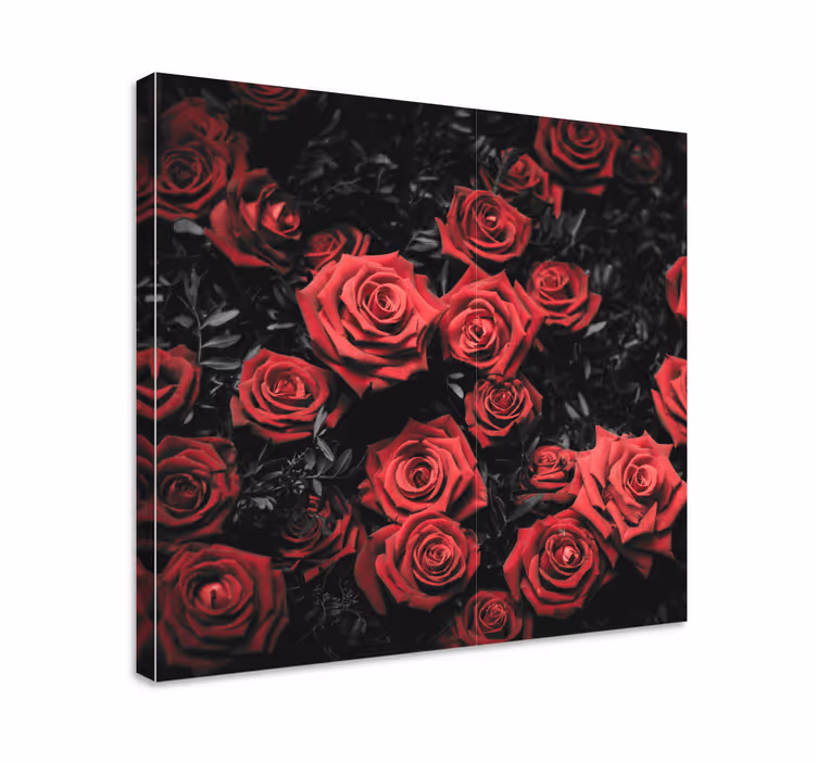 Sort og hvid med røde roser blomster lærred - TenStickers