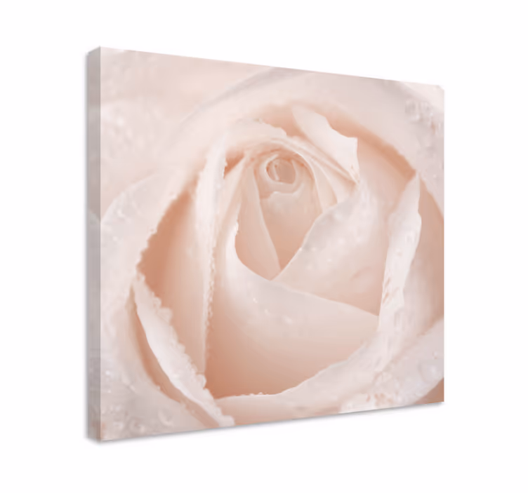 Blomster og planter lærredsbillede elegant rosenblomst - TenStickers