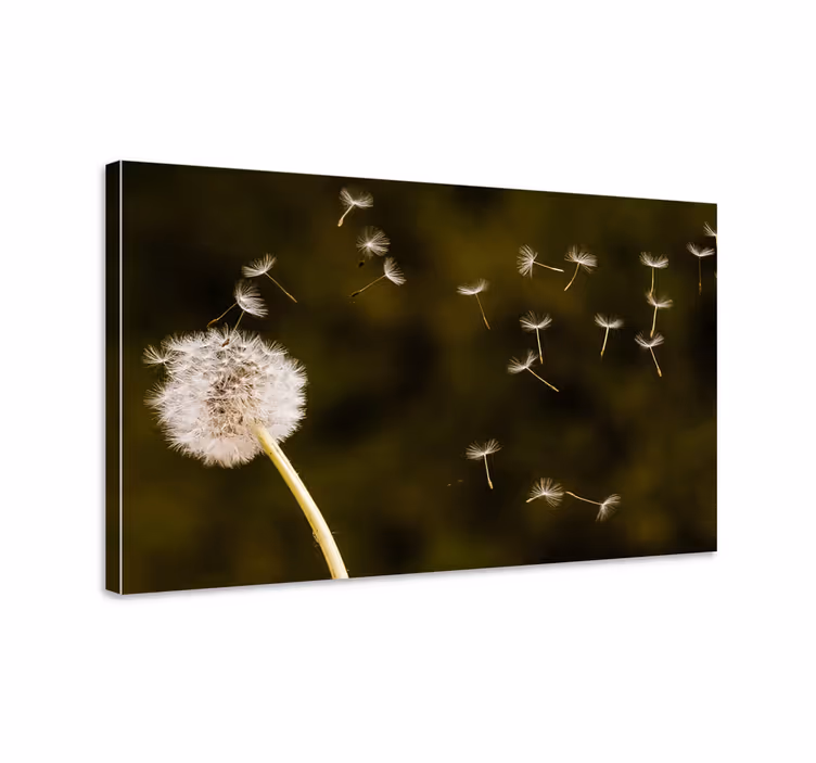 Blomster og planter lærredsbillede mælkebøttefrø svævende - TenStickers