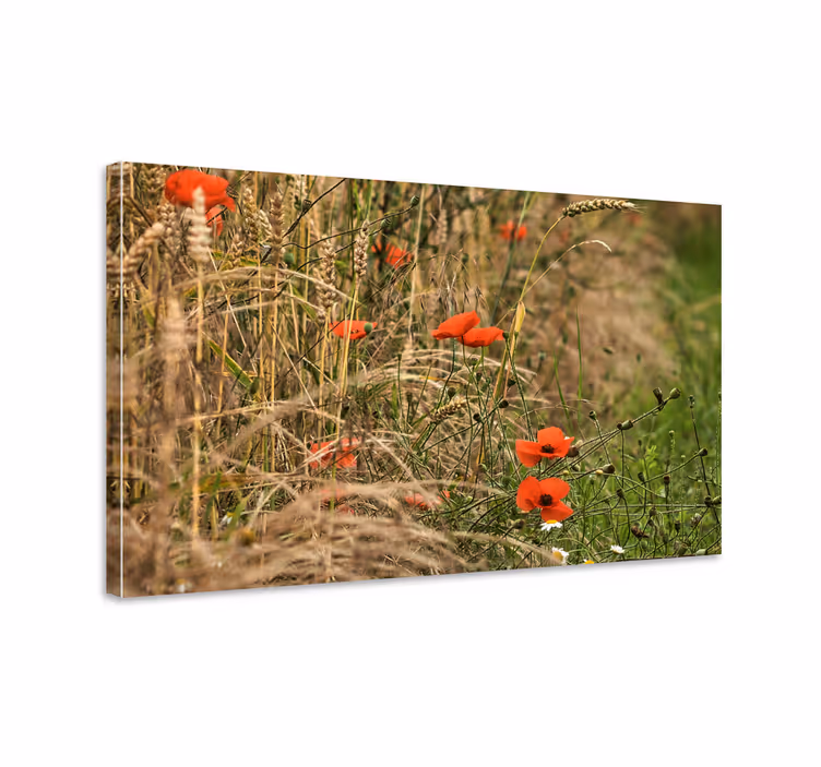 Pulserende valmuemark blomster og planter lærredsbillede - TenStickers